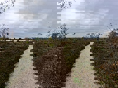 Vrijwilligerswerk in Zeist