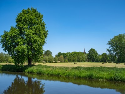 Vrijwilligerswerk in Venlo