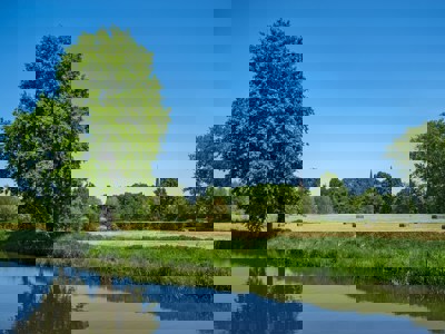 Vrijwilligerswerk in Venlo