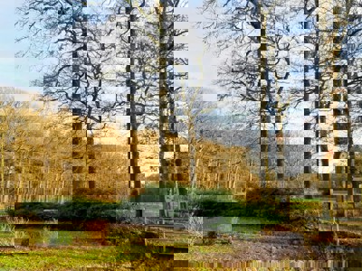 Vrijwilligerswerk in Leusden