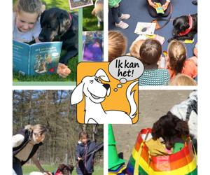 Stichting AAI-maatje