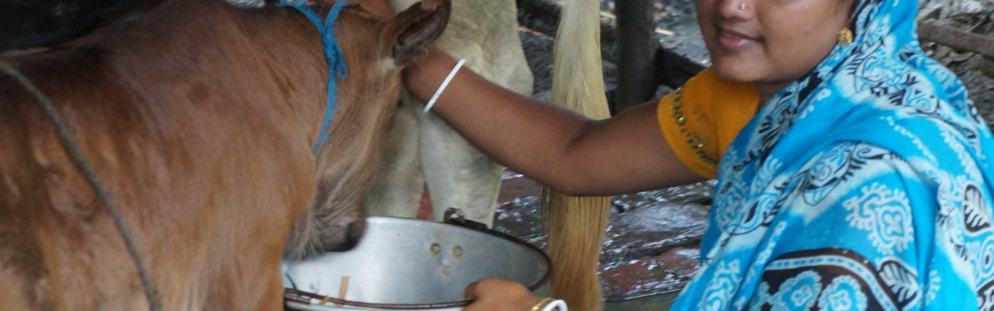 Flexibele Social Media ondersteuning