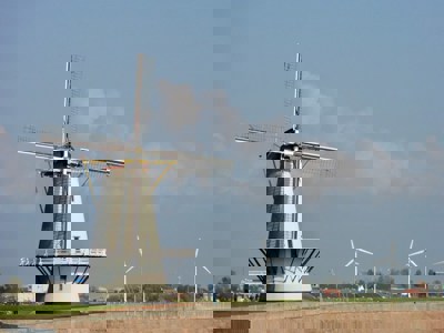Vrijwilligerswerk in Hoeksche Waard