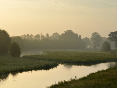 Vrijwilligerswerk in Tiel