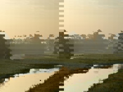 Vrijwilligerswerk in Tiel