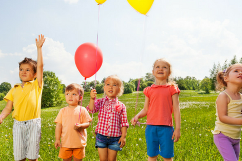 De Nederlandse Vereniging voor Pleeggezinnen