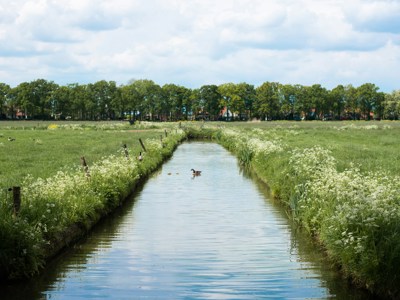 Vrijwilligerswerk in Amstelveen