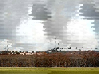 Vrijwilligerswerk in Hilversum