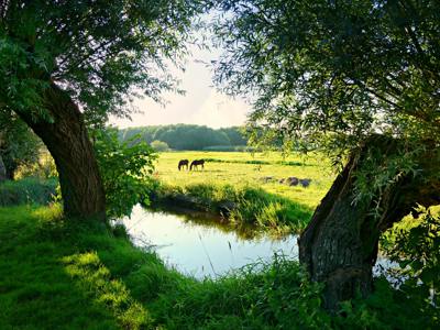 Vrijwilligerswerk in Middelburg